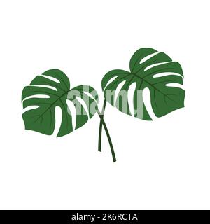 Monstera deliciosa plante feuille de forêts tropicales isolées sur fond blanc. Peut être utilisé pour les cartes de vœux, les prospectus, les invitations et la conception de sites Web. Illustration de Vecteur