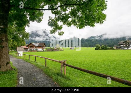 Oberstdorf - vue sur la randonnée sur une journée nuageuse et dans la distance agricole sur l'herbe verte, Oberstdorf , Bavière, Allemagne, 20.09.2021 Banque D'Images