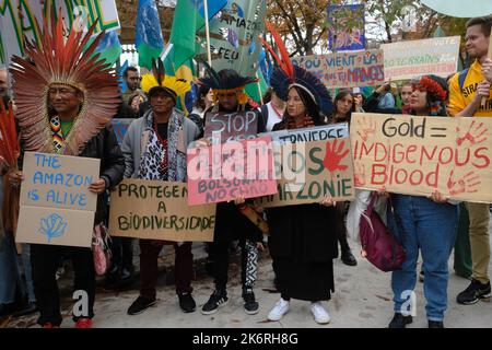 Une marche pour l'amazonie avec 6 présentoirs indignes d'Amazonie et de la forêt Atlantique contre la déforestation et l'orpaillage illégal Banque D'Images