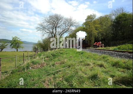 « Winifred » avec un train de chariots en ardoise passant devant un tracteur d'époque et des ré-acteurs entre Ysgubor FIAS et Pentrpiod halt. Banque D'Images