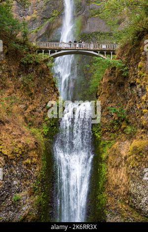 Multnomah Falls dans la Columbia River Gorge, Oregon Banque D'Images