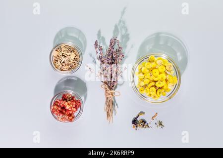 Bouquet de fleurs de lavande, fleurs de tansy sèches et plantes saines Banque D'Images