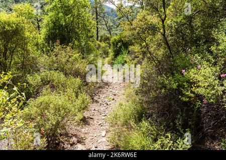 Le chemin du sentier de longue distance Carian qui s'enroule à travers les buissons sur la section entre la chute d'eau de Bayir et Turgut sur la péninsule de Bozburun en M Banque D'Images