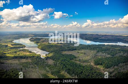 Vue aérienne, promontoire boisée dans le lac Möhne, Am Hevedamm, pont de Delecker sur la droite, vue lointaine et ciel bleu avec vue sur les éoliennes, Delecke, Banque D'Images