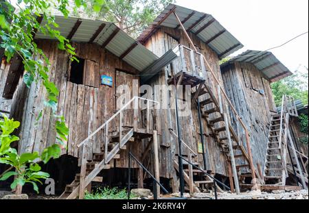 Olympos, Antalya, Turquie – 15 août 2021. Maisons d'arbres de Bayram's Tree Houses auberge dans la région d'Olympos dans la province d'Antalya en Turquie. Banque D'Images