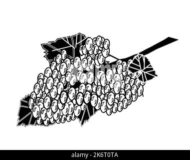 Illustration des meilleurs ressources graphiques pour les raisins noirs et blancs. conception graphique vectorielle pour la conception d'icônes et de symboles et de logos et la papeterie Illustration de Vecteur