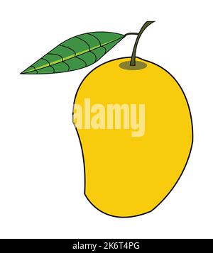 Motif mangue et vecteur coloré. Meilleure illustration des ressources graphiques. conception graphique vectorielle pour la conception d'icônes et de symboles et de logos et la papeterie Illustration de Vecteur