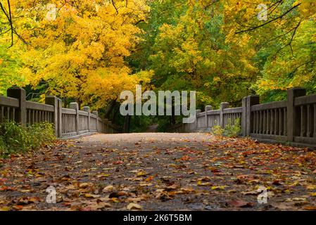 Pont au-dessus de Lake Falls lors d'une belle matinée d'automne. Matthiessen State Park, Illinois, États-Unis. Banque D'Images