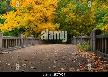 Pont au-dessus de Lake Falls lors d'une belle matinée d'automne. Matthiessen State Park, Illinois, États-Unis. Banque D'Images