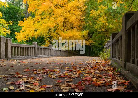 Pont au-dessus de Lake Falls lors d'une belle matinée d'automne. Matthiessen State Park, Illinois, États-Unis. Banque D'Images