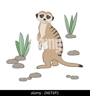 Mignon Meerkat isolé sur fond blanc. Illustration vectorielle. Illustration de Vecteur