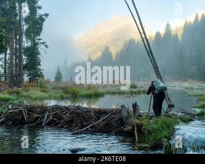 Beaver Dam avec un photographe sur une matinée brumeuse Banque D'Images