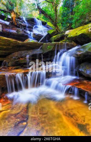 Somersby chute d'eau pittoresque près de la ville de Gordon sur la côte centrale de l'Australie dans la forêt humide. Banque D'Images