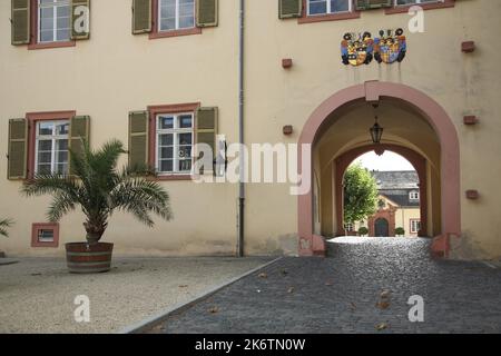 Portail et entrée au château, armoiries, passage, arcade, Bad Homburg, Taunus, Hesse, Allemagne Banque D'Images