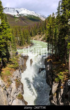 Chutes Sunwapta; parc national Jasper; Alberta; Canada Banque D'Images