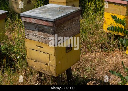 Maisons d'abeilles ou ruches dans la région de Moldavie en Roumanie. Banque D'Images