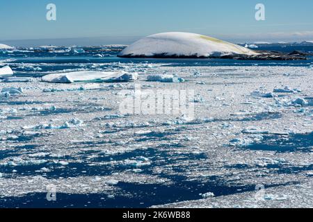 glace à brises flottant sur les eaux de l'approche septentrionale du chenal lemaire (kodak gap, kodak alley) avec une couverture de neige lisse et arrondie et une couleur d'algues vertes Banque D'Images