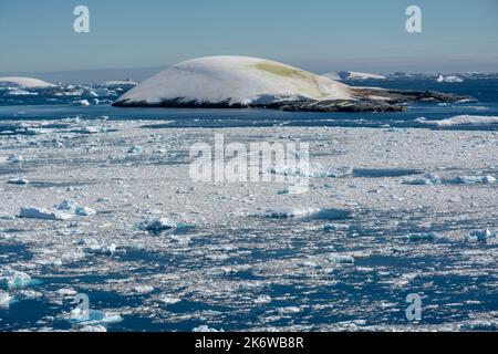 glace à brises flottant sur les eaux de l'approche septentrionale du chenal lemaire (kodak gap, kodak alley) avec une couverture de neige lisse et arrondie et une couleur d'algues vertes Banque D'Images