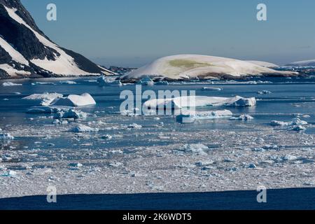 glace à brises flottant sur les eaux de l'approche septentrionale du chenal lemaire (kodak gap, kodak alley) avec une couverture de neige lisse et arrondie et une couleur d'algues vertes Banque D'Images