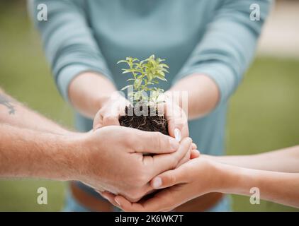 Et bien être à la ligne d'arrivée aussi. personne méconnaissable tenant une plante qui pousse hors du sol. Banque D'Images