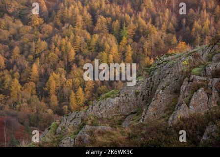 Belle image de paysage d'automne des bois de forêt autour de Holme est tombé dans Lake District Banque D'Images