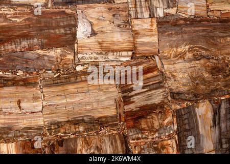 Dalle en bois pétrifié. Pierre semi-précieuse en pierre précieuse mate pour mur en céramique, carrelage numérique. Texture du matériau pour un intérieur et un extérieur uniques Banque D'Images