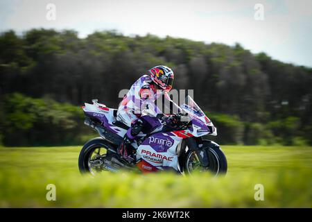 Phillip Island, Australie. 15th octobre 2022. Qualification Animoca Brands Grand Prix australien de MotoGP au circuit de Phillip Island. 15 octobre 2022 en photo: Italie Enea Bastianini Clasificacion del Gran Premio de MotoGP de Australia en el Circuito Internacional de Phillip Island. 15 de Octubre de 2022 POOL/ MotoGP.com/Cordon les images de presse seront à usage éditorial uniquement. Crédit obligatoire: © motogp.com crédit: CORMON PRESSE/Alay Live News Banque D'Images