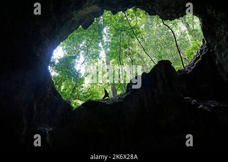 grotte pittoresque de linea dans le parc national de los haïtiens en république dominicaine Banque D'Images