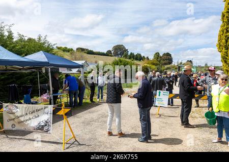 Les membres du club moto Orange NSW se rencontrent à Millthorpe pour un spectacle de moto, Nouvelle-Galles du Sud, Australie Banque D'Images