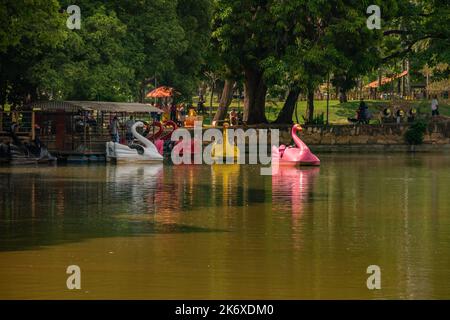 Goias, Brésil – 12 octobre 2022 : détail du lac de Roses avec pédalos pour les gens de Amuse-toi bien. Banque D'Images