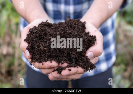 Main pleine de compost de sol brun riche. Un homme tient dans des mains sales avec l'humus pour planter. Concept d'éco-agriculture Banque D'Images