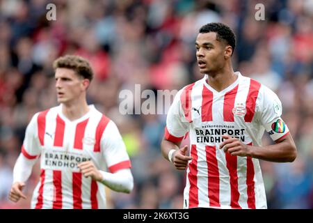 EINDHOVEN - Cody Gakpo du PSV Eindhoven pendant le match néerlandais Eredivisie entre le PSV Eindhoven et le FC Utrecht au stade Phillips sur 16 octobre 2022 à Eindhoven, pays-Bas. PNA JEROEN PUTMANS Banque D'Images