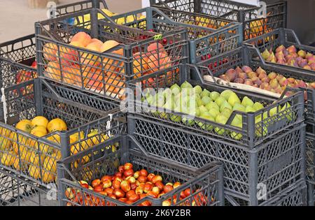 Piles de caisses de fruits assortis à vendre sur le marché local au début de l'automne Banque D'Images