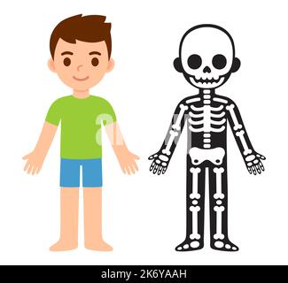 Cartoon enfant squelette anatomie carte. Illustration vectorielle simple et plate du garçon et de ses os. Clip art vectoriel isolé Illustration de Vecteur