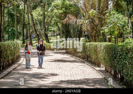 Bogota Colombie,Santa Fe Parque de la Independencia Independence Park,sentier ombragé promenade ville parc espace ouvert arbres,homme hommes femme femmes fem Banque D'Images