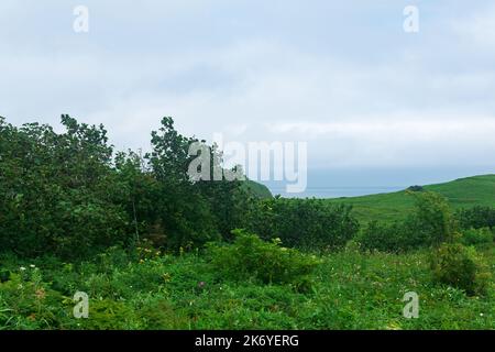 Paysage naturel de l'île de Kunashir avec des collines herbeuses et l'océan en arrière-plan Banque D'Images