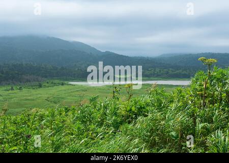 Paysage naturel de l'île de Kunashir avec des collines herbeuses et une vallée avec un lac en arrière-plan Banque D'Images