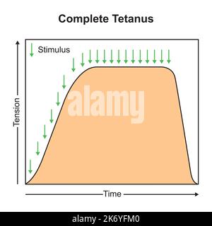 Conception scientifique du tétanos complet. Symboles colorés. Illustration vectorielle. Illustration de Vecteur