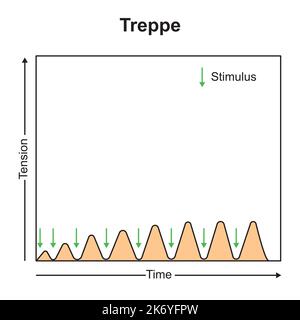 Conception scientifique de Treppe Curve. Symboles colorés. Illustration vectorielle. Illustration de Vecteur