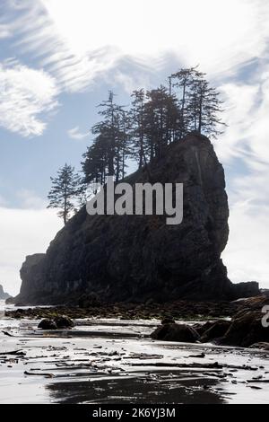 Célèbre plage de la Push de Twilight saga à Washington. Vue sur la côte avec rochers sur la plage de la Push Banque D'Images