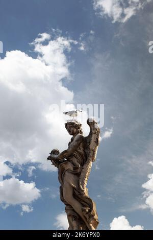 Mouette reposant sur une statue Banque D'Images