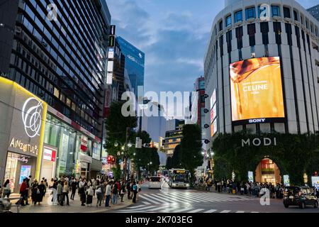 Tokyo, préfecture de Tokyo, Japon. 16th octobre 2022. 16 octobre 2022: Ville de Shibuya, Tokyo, JAPON: Scènes de rue générales de Shibuya, une destination de voyage populaire avec de nombreux espaces commerciaux, magasins et restaurants. Le Japon a récemment rouvert ses portes au tourisme après plus de deux ans d'interdiction de voyager en raison de la pandémie COVID-19. (Credit image: © Taidgh Barron/ZUMA Press Wire) Credit: ZUMA Press, Inc./Alamy Live News Banque D'Images