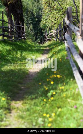 Bran, comté de Brasov, Roumanie, environ 1999. Route de campagne non pavée. Banque D'Images