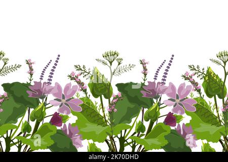 Motif fleuri vectoriel sans couture, bordure. Conception panoramique horizontale avec moulette, yarrow et hyssop isolés sur un fond blanc. Illustration de Vecteur