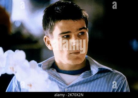 JOSH HARTNETT, 40 jours et 40 nuits, 2002 Banque D'Images