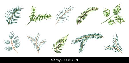 Ensemble de plats de plantes à feuilles persistantes en forme de branches de sapin. Épicéa sapin pin mélèze cèdre hiver plante forêt vert aiguilles Noël Noël design élément carte de voeux bannière ligne modifiable trait isolé Illustration de Vecteur