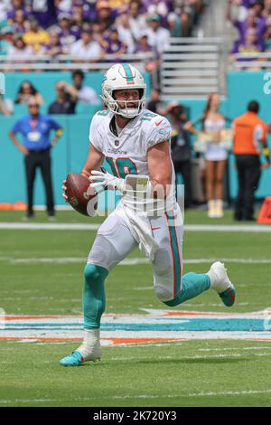 Dimanche, 16 octobre 2022 ; Miami Gardens, Floride, États-Unis ; Le quarterback des Dolphins de Miami, SkMylar Thompson (19), se déforme de la poche et cherche une RE ouverte Banque D'Images