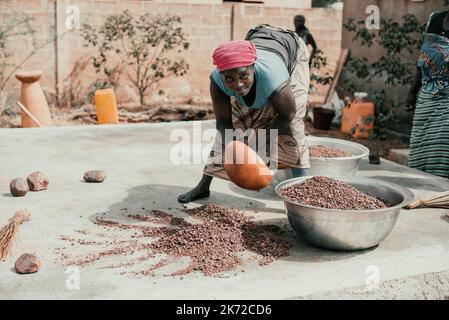 Ouagadougou, Burkina Faso. 10 décembre 2017. Une femme d'une coopérative agricole choisit une collection de graines de karité Banque D'Images