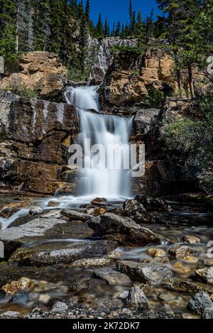L'eau la plus sage des chutes de Tangle Creek dans le parc national Jasper, en Alberta Banque D'Images
