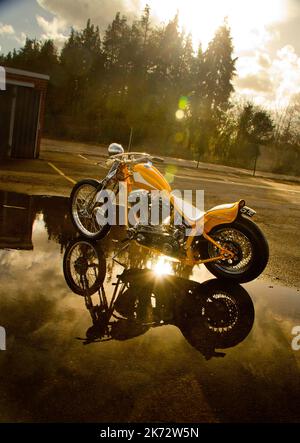 Une Harley Davidson dorée qui attrape le soleil d'hiver Banque D'Images